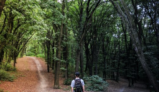 人生の分かれ道