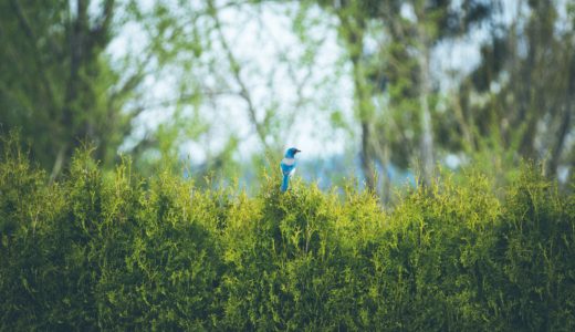 面白い仕事なんて最初からない。